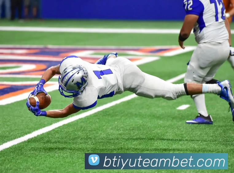 App Interface Preview